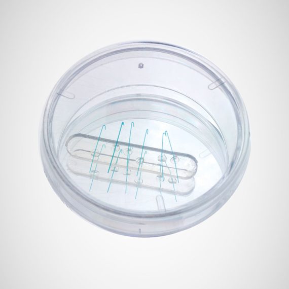 Phakos iris retractors